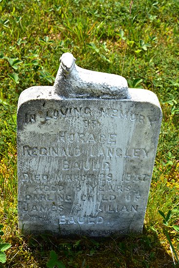 Horace Reginald Langley Bauld