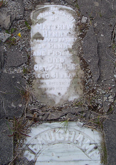 Matthew Henry Beauchamp