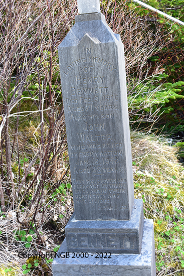 Henry & John Walter Bennett