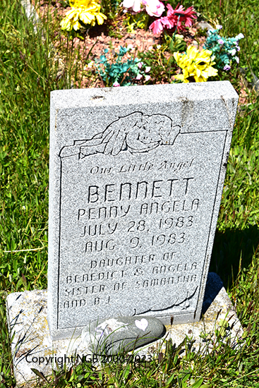Penny Angela Benentt