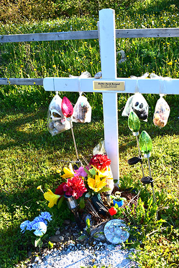 Robbie Davis Bernard