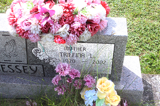 William H. & Triffina L. Bessey