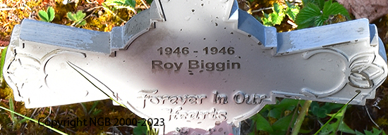 Roy Biggin