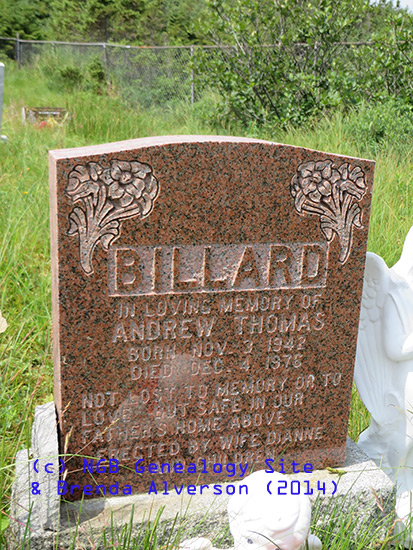 Andrew Thomas Billard