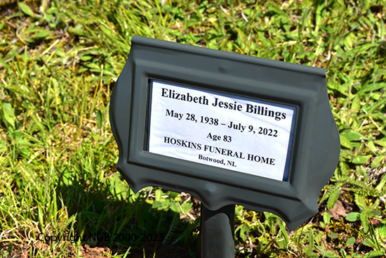 Elizabeth Jessie Billings