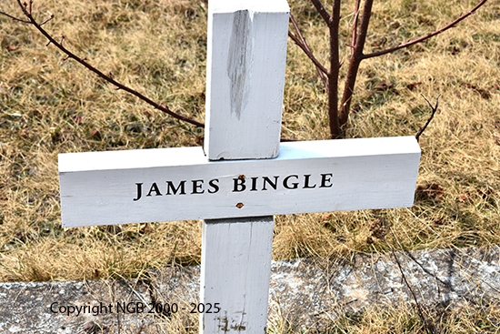 Henry, James & Blanch Bingle
