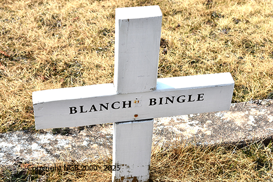 Henry, James & Blanch Bingle