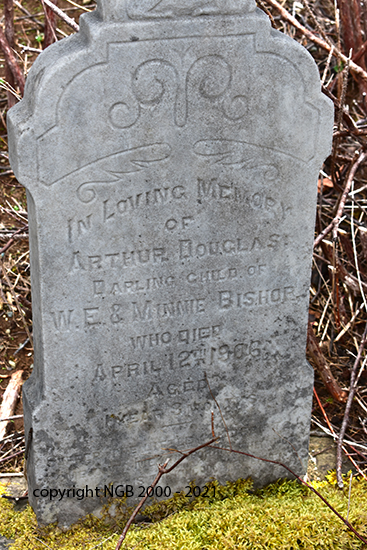 Arthur Douglas Bishop