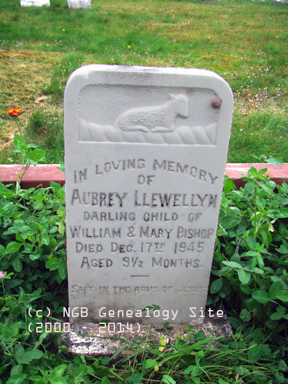 Aubrey Llewellen Bishop