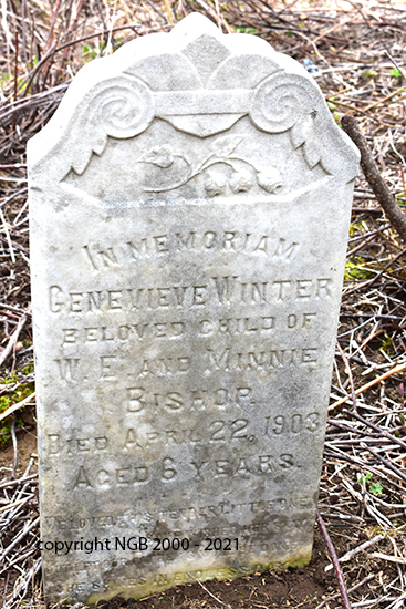 Genevieve Winter Bishop