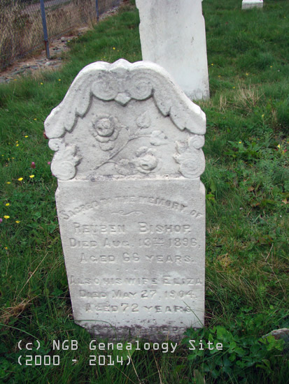 Reuben Bishop
