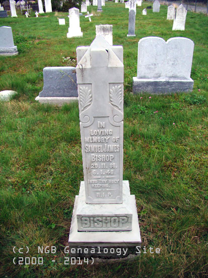 Samuel James Bishop