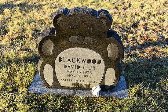 David C. Blackwood Jr