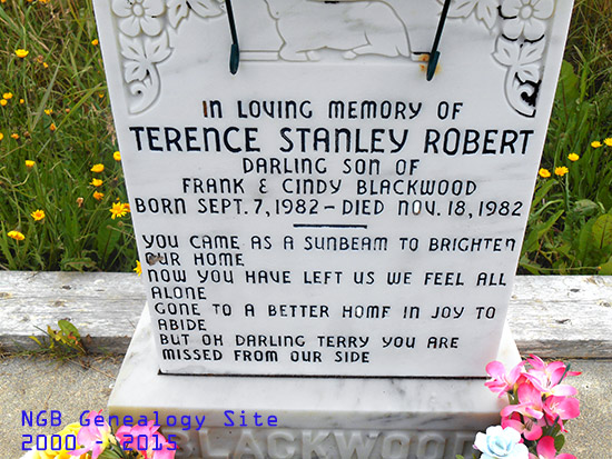 Terence Stanley Robert Blackwood