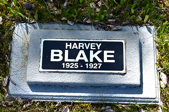 Harvey Blake