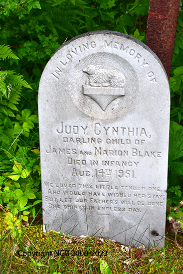 Judy Cynthia Blake
