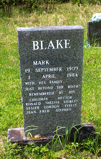 Mark Blake