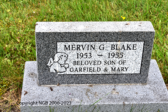 Mervin G. Blake