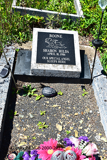 Sharon Hilda Boone
