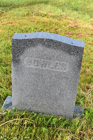 Elizabeth Ann Bowles