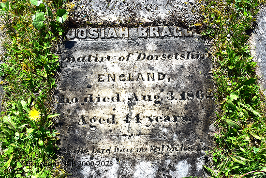 Josiah Brac