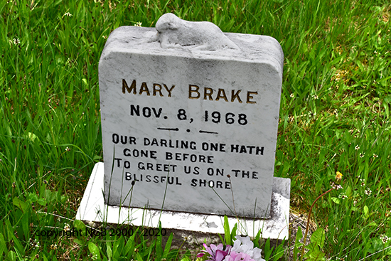 Marey Brake