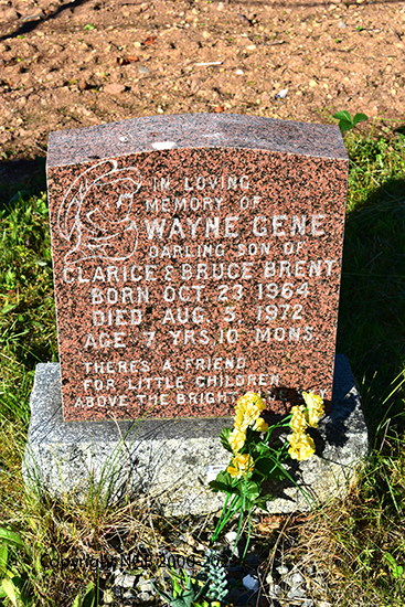 Wayne Gene Brent