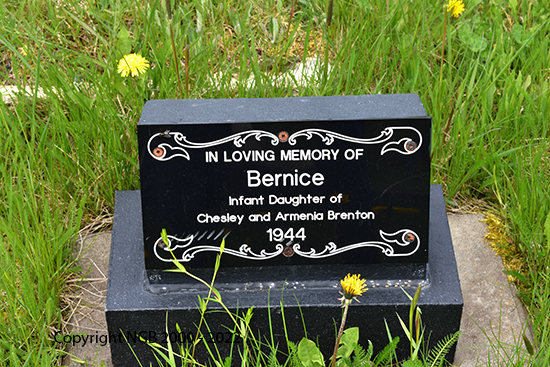 Bernice Brenton