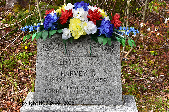 harvey G. Bridger