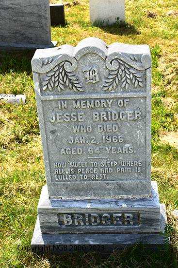 Jesse Bridger