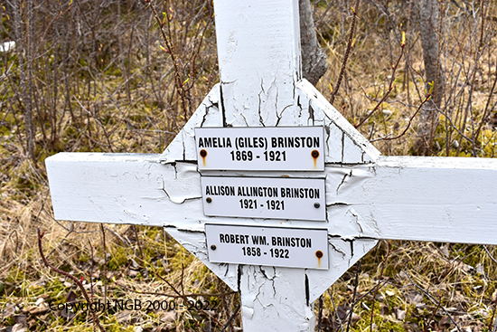 Amelia, Allison & Robert Brinston