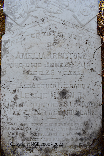 Amelia & Leslie Brinston