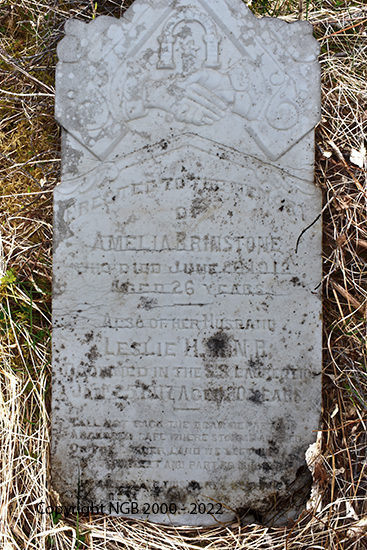 Amelia & Leslie Brinston