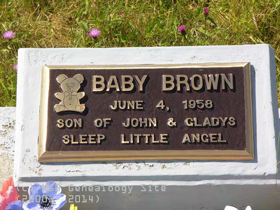 Baby Brown