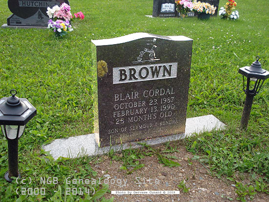 Bkair Briwn