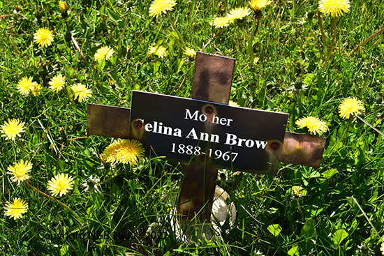 Cecilia Ann Brown