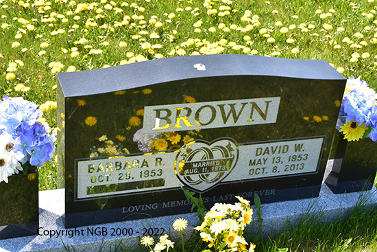 David W. Brown