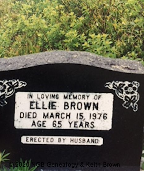 Ellie Brown