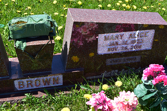Frederick, Mary &  Adrian  Brown