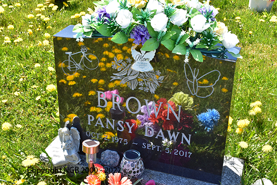 Pansy Dawn Brown