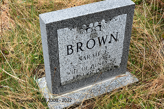 Sara J. Brown 