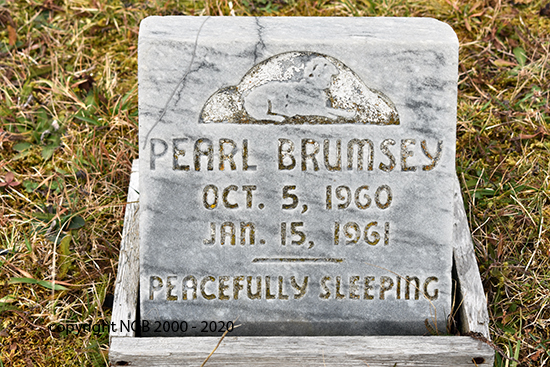 Pearl Brumsey
