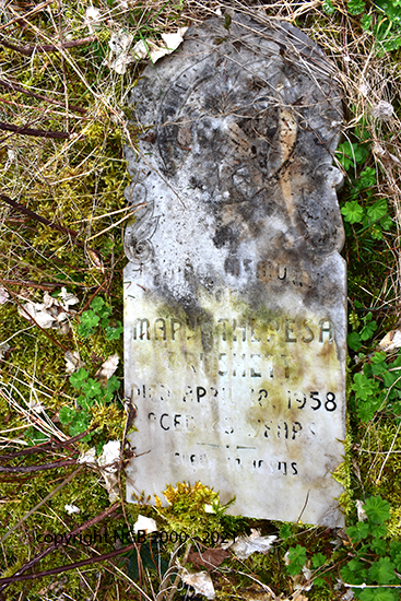 Mary Theresa Brushett 