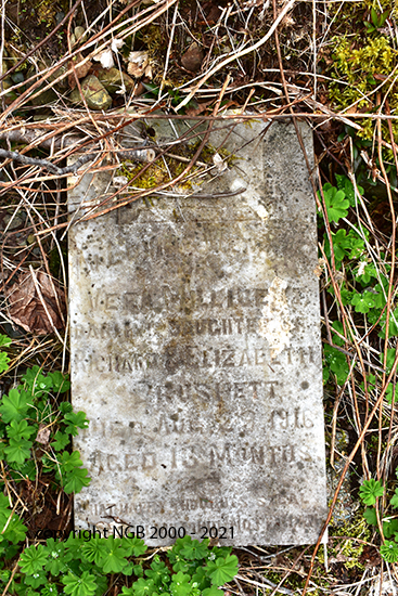 Vera Millicent Brushett