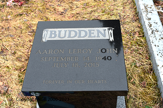 Aaron Leroy Budden