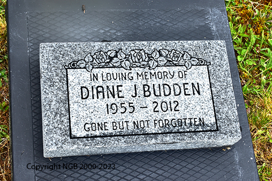 Diane Budden