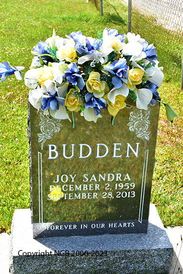 Joy Sandra Budden