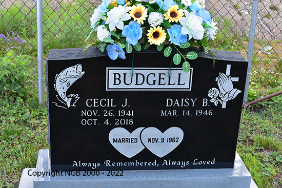 Cecil J. Budgell