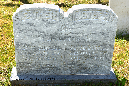 Henry & Alice Budgel