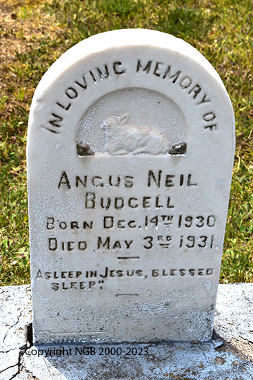 Angus Neil Budgell